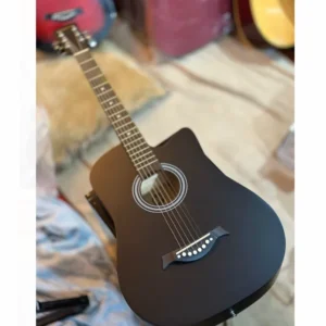 Acoustic Guitar With All Accessories