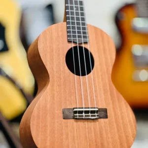 Best Ukulele Guitar (Limited Time Offer) - Wooden Ukulele With Free Bag